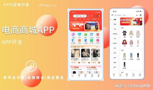 电商软件开发 电商系统平台定制公司方案