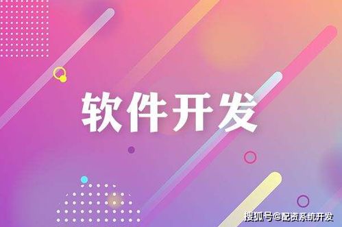 两融系统软件开发周期